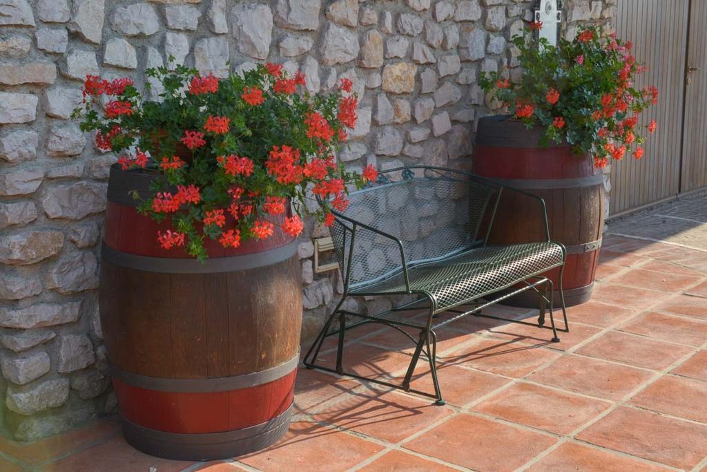 Agriturismo Kogoj Medea Екстер'єр фото
